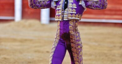 Jorge Martínez corta dos orejas y triunfa en la novillada de inicio de la Feria de Almería