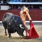 El dulce momento de Daniel Luque destaca en Madrid