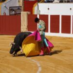 Gran tarde de toros de Fortes en Antequera