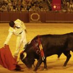 Oreja y vuelta al ruedo para Curro Durán en Sevilla