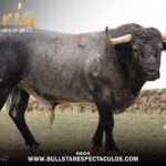Seriedad en los toros de Adolfo Martín para Soria