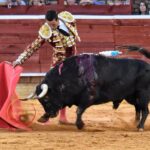 Nuevo triunfo de David de Miranda en Huelva