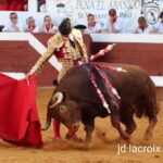 Dos orejas de un toro de El Pilar para Castella en Dax