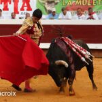 Dos orejas de un toro de El Pilar para Castella en Dax