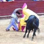 Toque de atención de Samuel Navalón en su debut con caballos